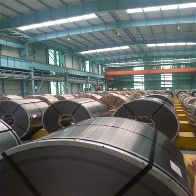 5mm Hot Rolled 304l Stainless Steel Coil 304 310 , 2507 Duplex Steel Coil